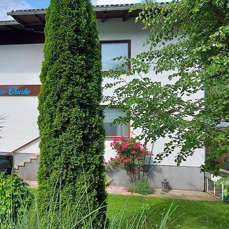 Appartements Das Charlie Ebensee Exterior foto